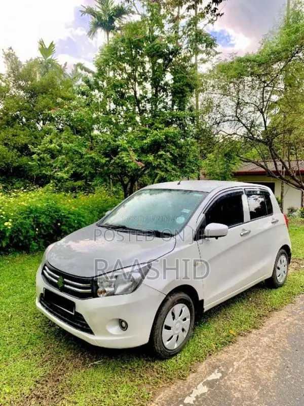 Suzuki Celerio 2015 Car (Used)