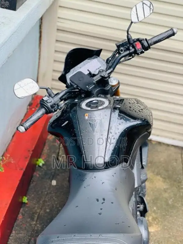 Yamaha MT-15 2025 Motorbike (Used)