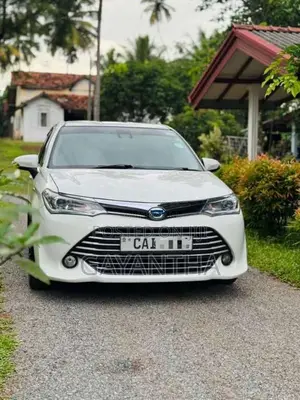 Toyota Axio G Grade 2015 Car (Used)