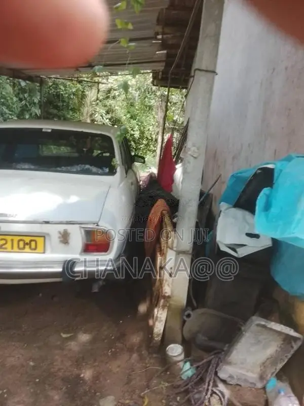 Peugeot 1980 Car (Used)