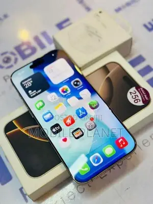 Apple iPhone 16 Pro Max 256GB (Used)