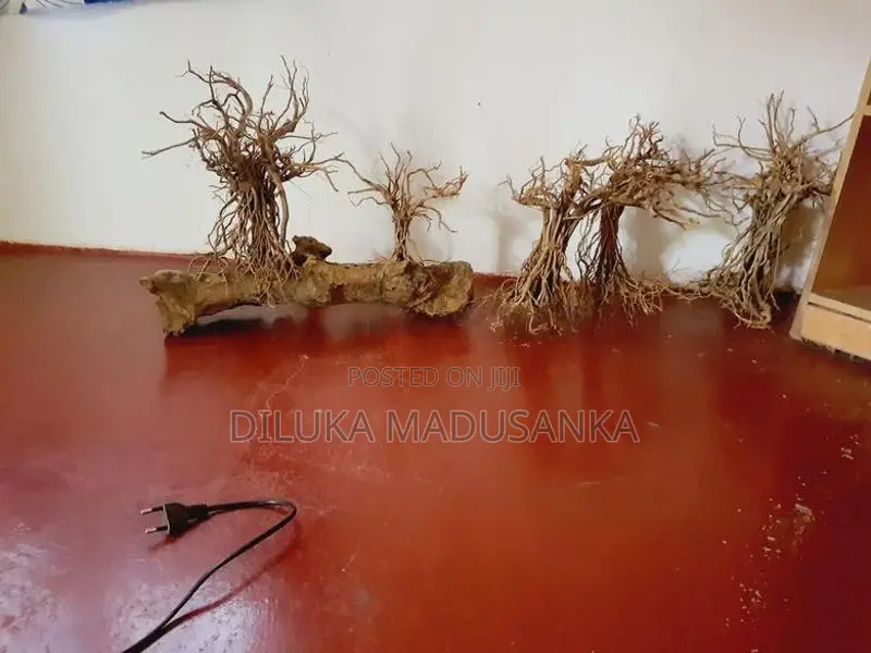 Tank Driftwood Trees