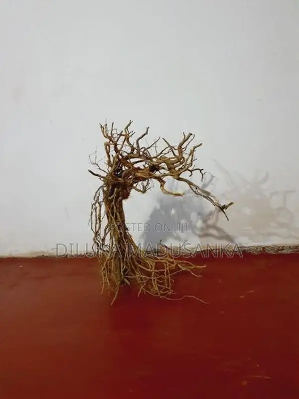 Tank Driftwood Trees