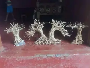 Tank Driftwood Trees