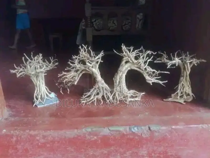 Tank Driftwood Trees