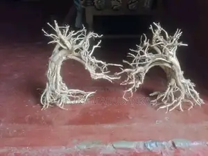 Tank Driftwood Trees