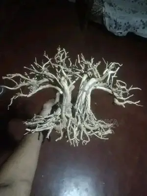 Tank Driftwood Trees