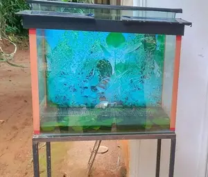 Fishing Tank
