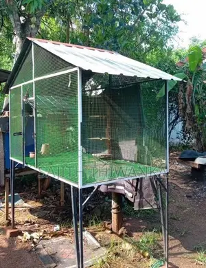 Pigeon Cage