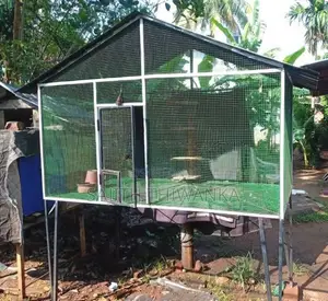 Pigeon Cage