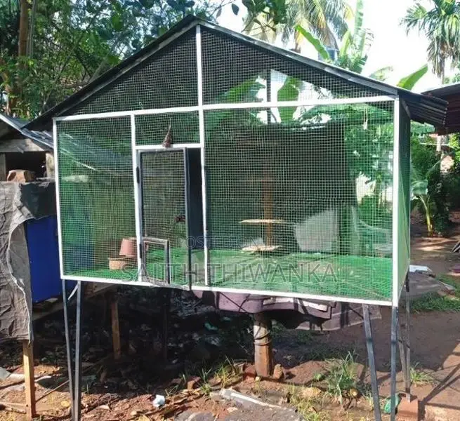 Pigeon Cage