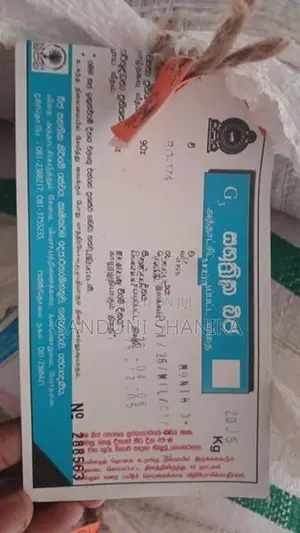 බිත්තර වී