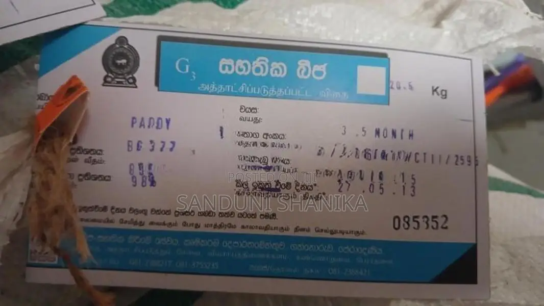 බිත්තර වී
