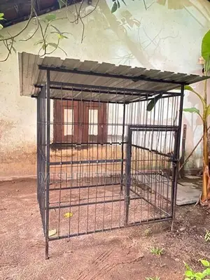 Dog Cage