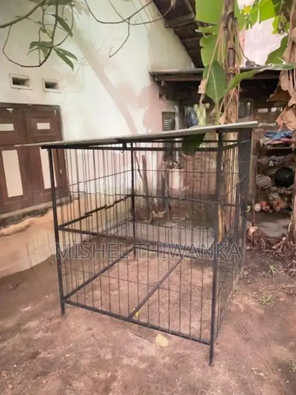 Dog Cage