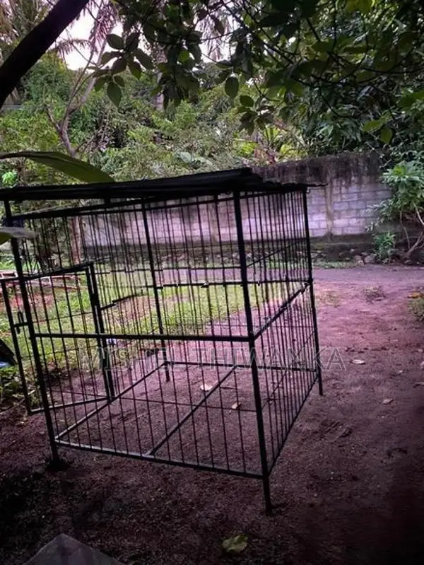 Dog Cage