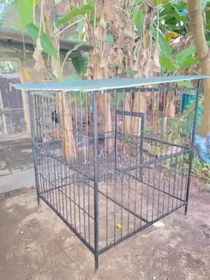 Dog Cage