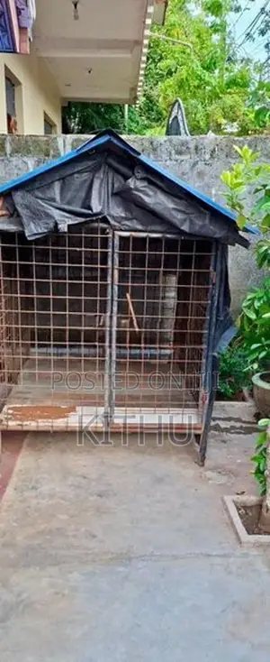 Dog Cage