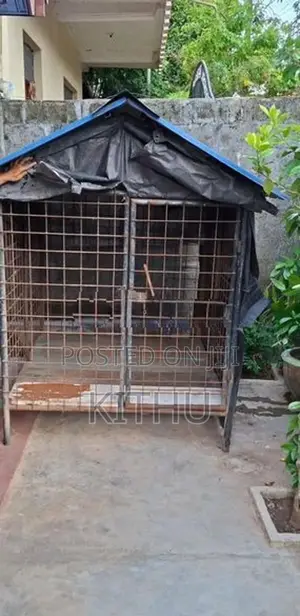 Dog Cage