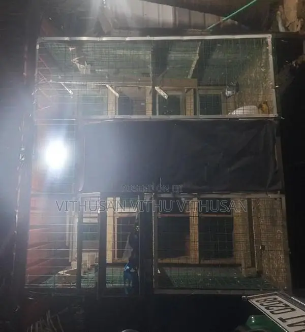 Pigeon Cage Sale
