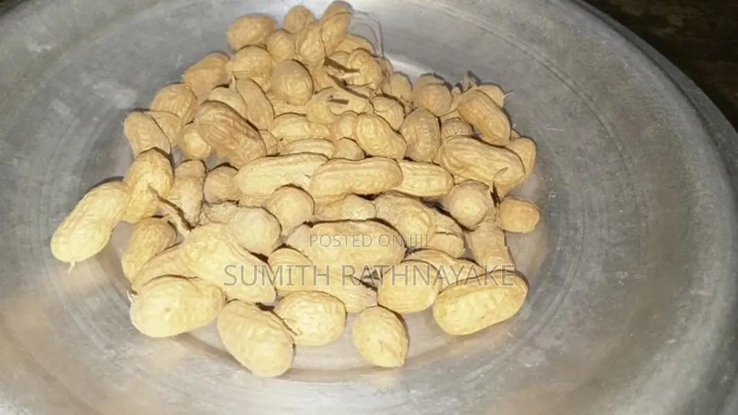 රට කජු බීජ