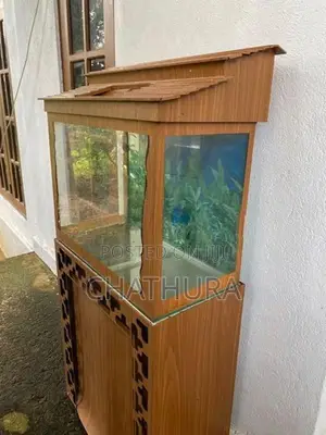Fish Tank