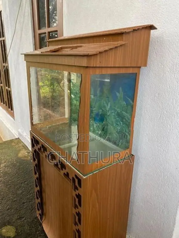Fish Tank