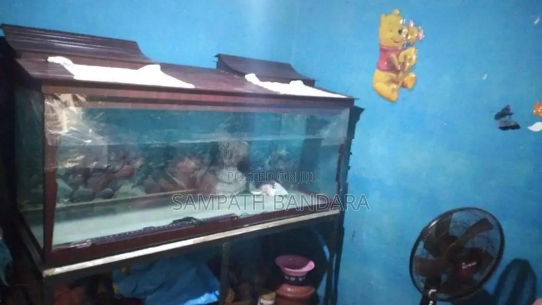 Fish Tank Full Set