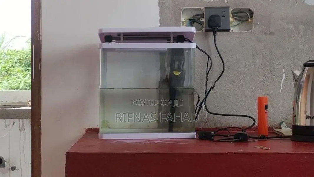 Fish Box Full Set 6000/