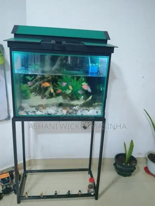 මාළු ටැංකියක්