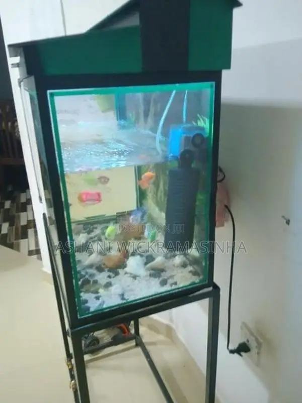 මාළු ටැංකියක්