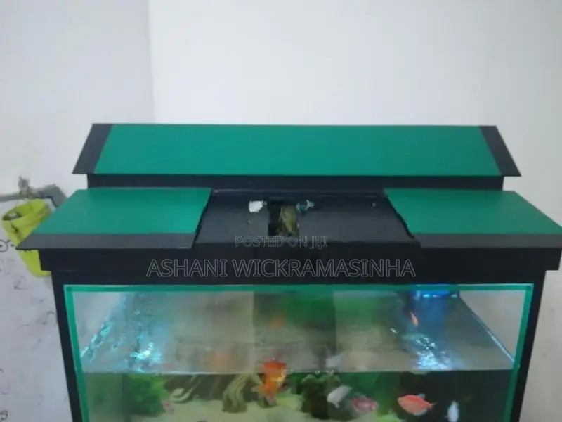 මාළු ටැංකියක්