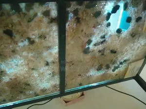 මාළු ටැංකියක්