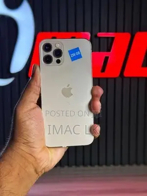 Apple iPhone 12 Pro Max 256GB Full Set (Used)