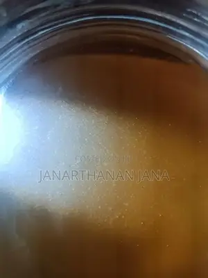 Vinegar Eels Culture