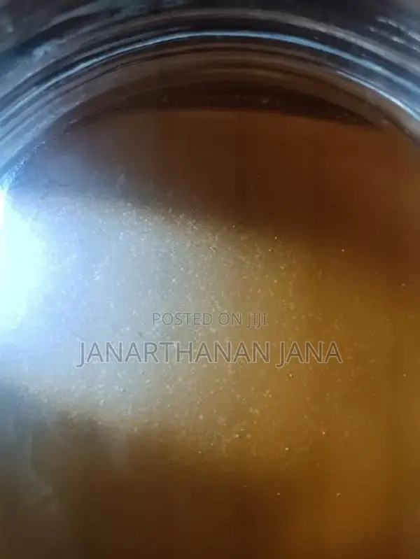 Vinegar Eels Culture