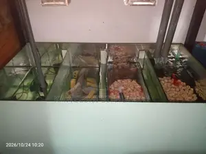 Aquarium Fish Tanks