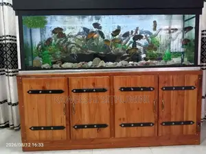 Aquarium Fish Tanks