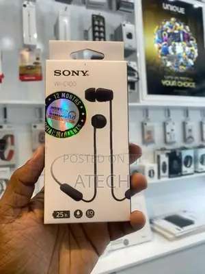 Sony WI-C100 Wireless In-Ear Headphones