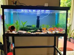 Fish Tank With Stand