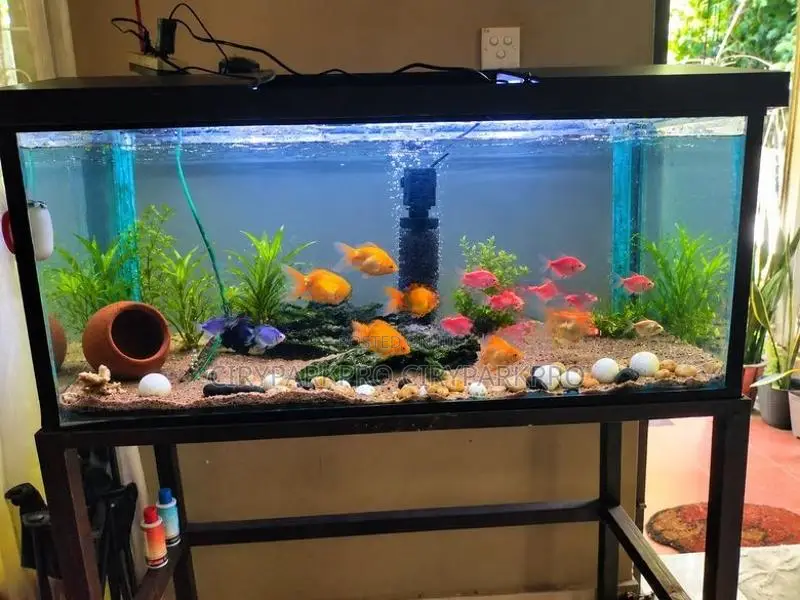 Fish Tank With Stand