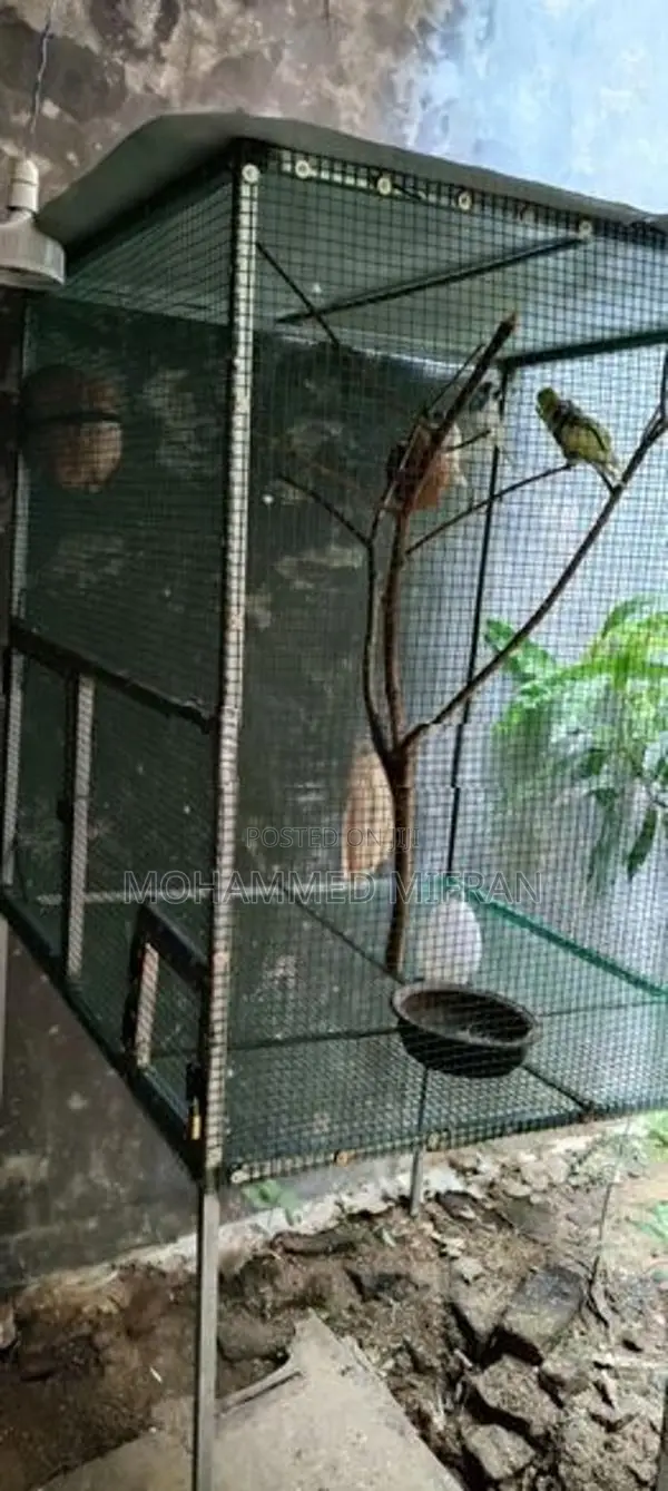 Cage New