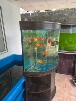Imported Fish Tank