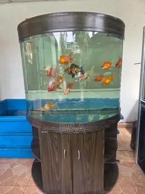 Imported Fish Tank