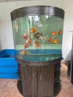 Imported Fish Tank