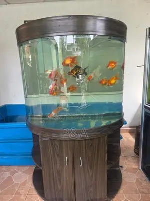 Imported Fish Tank