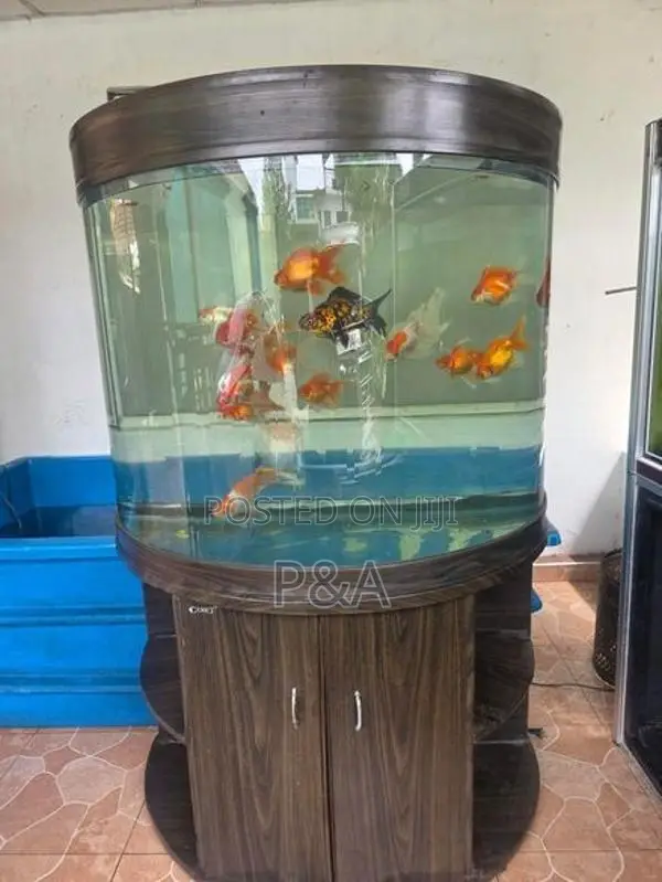 Imported Fish Tank