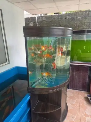Imported Fish Tank