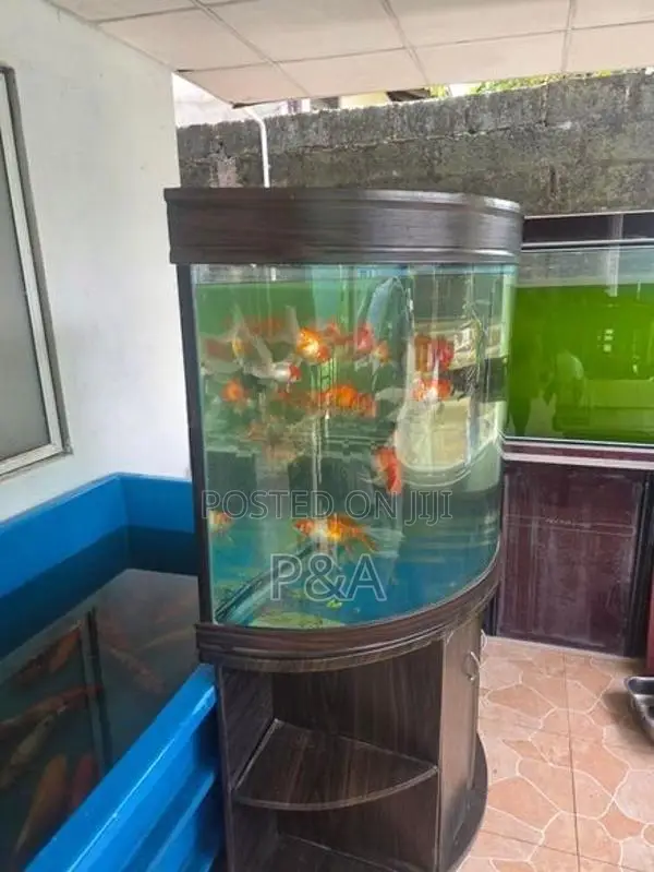 Imported Fish Tank