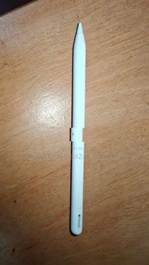 Apple Pencil Type C